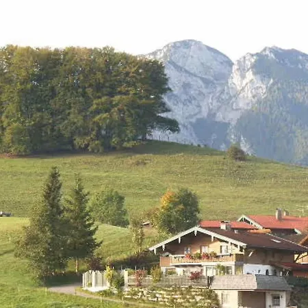 Steinbacher *